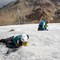 Clima sulle Alpi, continua la ricerca sulle pulci dei ghiacciai con le Guide Alpine
