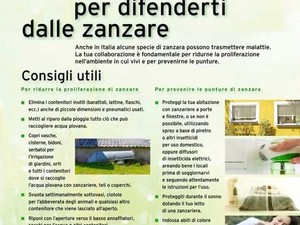 Zanzare, dal Ministero della Salute i consigli per ridurne la presenza e prevenire le punture Zanzare, dal Ministero della Salute i consigli per ridurne la presenza e prevenire le punture