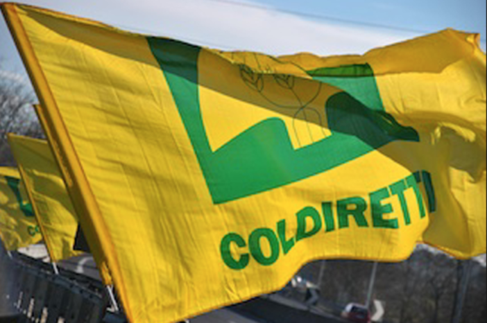 Coldiretti Vercelli e Biella, un piano per salvare l'agricoltura piemontese