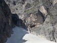 Clima sulle Alpi, continua la ricerca sulle pulci dei ghiacciai con le Guide Alpine Clima sulle Alpi, continua la ricerca sulle pulci dei ghiacciai con le Guide Alpine