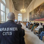 In Piemonte cresce il traffico illecito di amici a 4 zampe. Un business ad alto rendimento e a basso rischio