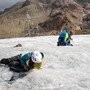Clima sulle Alpi, continua la ricerca sulle pulci dei ghiacciai con le Guide Alpine Clima sulle Alpi, continua la ricerca sulle pulci dei ghiacciai con le Guide Alpine