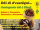 Varallo, due giorni di festa con la Castagnata dei 4 Rioni Varallo, due giorni di festa con la Castagnata dei 4 Rioni