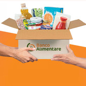 Colletta Alimentare 2025, donazioni in crescita: in Piemonte 20 tonnellate in più rispetto all'anno scorso Colletta Alimentare 2025, donazioni in crescita: in Piemonte 20 tonnellate in più rispetto all'anno scorso