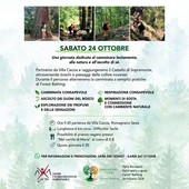 Romagnano Sesia, sabato una giornata tra cammino lento e Forest Bathing Romagnano Sesia, sabato una giornata tra cammino lento e Forest Bathing
