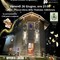 Concerto sotto le stelle a Lebbia con la Scuola Dedalo di Grignasco