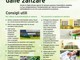 Zanzare, dal Ministero della Salute i consigli per ridurne la presenza e prevenire le punture Zanzare, dal Ministero della Salute i consigli per ridurne la presenza e prevenire le punture