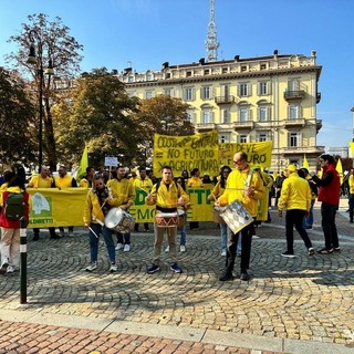 Campanacci e trattori, agricoltori in protesta: "Costi troppo alti, la Regione ci aiuti"