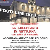 Varallo, il 28 novembre visita notturna alla Collegiata con salita al campanile Varallo, il 28 novembre visita notturna alla Collegiata con salita al campanile
