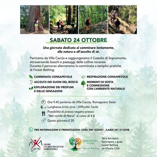 Romagnano Sesia, sabato una giornata tra cammino lento e Forest Bathing