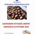 A Romagnano Sesia una castagnata in piazza Libertà il 25 ottobre A Romagnano Sesia una castagnata in piazza Libertà il 25 ottobre
