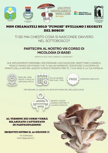 A Sagliano Micca (Biella) il corso di micologia per scoprire i segreti del bosco