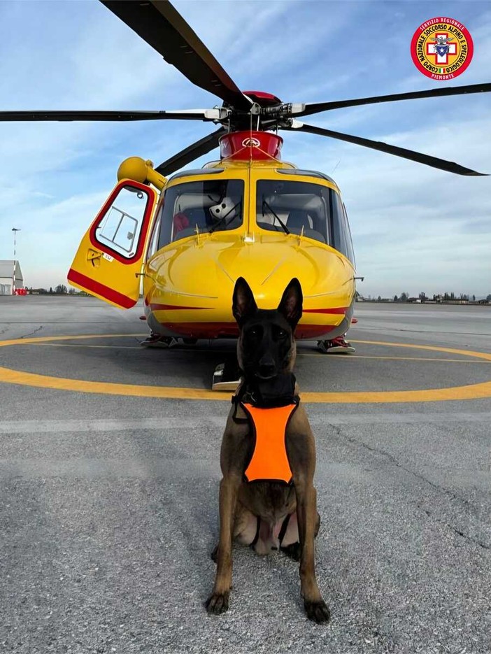 Piemonte, Unità Cinofile da Valanga in servizio nelle basi di Cuneo, Torino e Borgosesia