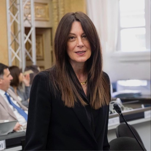 Maltempo nel Novarese, Cameroni: «Lunedì confronto con l'assessore Bongioanni e i sindaci dei territori colpiti»