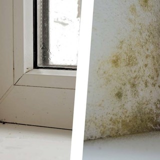 Condensa sui vetri e muffa in casa: il problema spesso non è la finestra