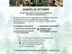 Romagnano Sesia, sabato una giornata tra cammino lento e Forest Bathing