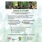 Romagnano Sesia, sabato una giornata tra cammino lento e Forest Bathing Romagnano Sesia, sabato una giornata tra cammino lento e Forest Bathing