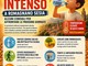 Caldo intenso a Romagnano Sesia, l’invito del Comune: «Proteggiamoci dalle alte temperature» Caldo intenso a Romagnano Sesia, l’invito del Comune: «Proteggiamoci dalle alte temperature»