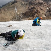Clima sulle Alpi, continua la ricerca sulle pulci dei ghiacciai con le Guide Alpine Clima sulle Alpi, continua la ricerca sulle pulci dei ghiacciai con le Guide Alpine