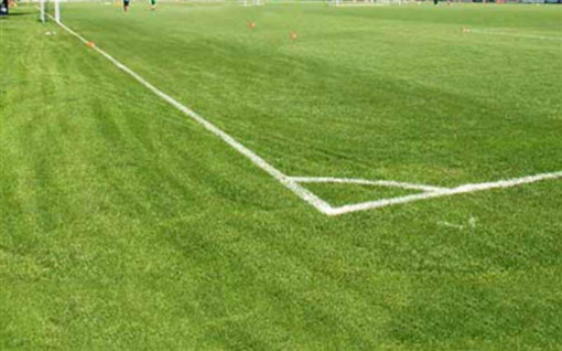 Serravalle Sesia, campo sportivo: ultimati i lavori dopo i danni dei cinghiali. La Serravallese torna in casa Serravalle Sesia, campo sportivo: ultimati i lavori dopo i danni dei cinghiali. La Serravallese torna in casa