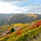 Dai sorì delle Langhe alla bottiglia: la filiera corta di Terrenostre