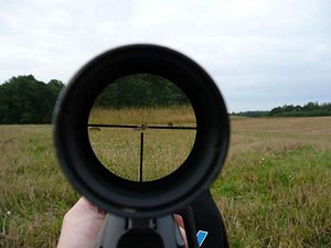 Caccia in Piemonte, stop a fagiano di monte e coturnice: tutte le modifiche al calendario venatorio Caccia in Piemonte, stop a fagiano di monte e coturnice: tutte le modifiche al calendario venatorio