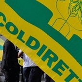 Riceviamo e pubblichiamo: Coldiretti Vercelli-Biella - Ue: il piano Von Der Leyen affama l’Europa