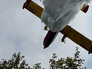 foto AIB