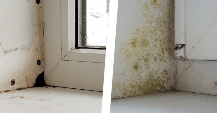 Condensa sui vetri e muffa in casa: il problema spesso non è la finestra Condensa sui vetri e muffa in casa: il problema spesso non è la finestra