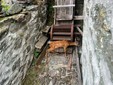 Capriolo ferito ad Alagna Valsesia, recuperato dai Guardiaparco vicino alla cascata di Otro Capriolo ferito ad Alagna Valsesia, recuperato dai Guardiaparco vicino alla cascata di Otro