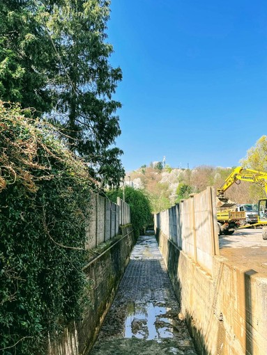 Foto da pagina fb Daniele Baglione