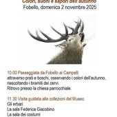Colori, suoni e sapori dell’autunno: a Fobello una giornata tra natura e tradizione il 2 novembre 2025 Colori, suoni e sapori dell’autunno: a Fobello una giornata tra natura e tradizione il 2 novembre 2025