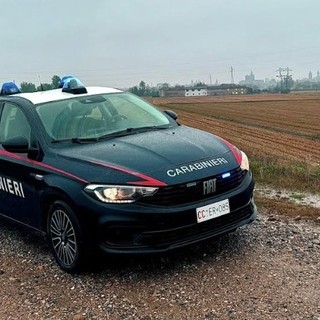 Evade dai domiciliari per andare a rubare in una ditta: arrestato