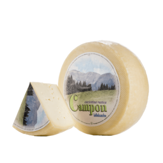 Lattebusche Shop per tutta Italia Lattebusche Shop per tutta Italia