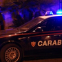 Incidente a Sostegno, spunta un cinghiale sulla strada e l'auto non evita l'impatto (foto di repertorio)