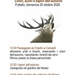 Fobello, domenica tra colori, suoni e sapori d’autunno Fobello, domenica tra colori, suoni e sapori d’autunno