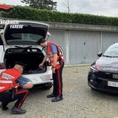 Smantellata banda di truffatori: più di 30 colpi messi a segno negli ultimi otto mesi