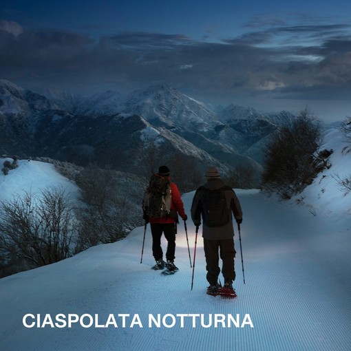 Escusione notturna con la luna piena all'Oasi Zegna (foto Oasi Zegna) Escusione notturna con la luna piena all'Oasi Zegna (foto Oasi Zegna)