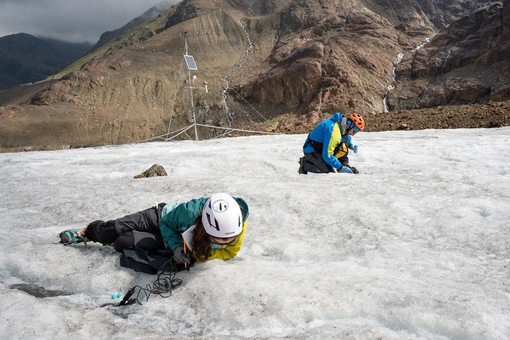 Clima sulle Alpi, continua la ricerca sulle pulci dei ghiacciai con le Guide Alpine Clima sulle Alpi, continua la ricerca sulle pulci dei ghiacciai con le Guide Alpine