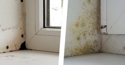 Condensa sui vetri e muffa in casa: il problema spesso non è la finestra