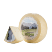 Lattebusche Shop per tutta Italia