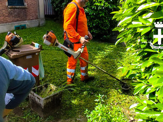 Vercelli, parte la lotta agli infestanti: 22 operatori al lavoro.