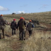 Fauna selvatica allo stremo dopo caldo, siccità e incendi: “Sospendere la caccia”