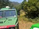 Incendi in Valsesia, situazione in miglioramento: ancora mezzi aerei su Cravagliana e Res Incendi in Valsesia, situazione in miglioramento: ancora mezzi aerei su Cravagliana e Res
