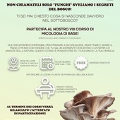 A Sagliano Micca (Biella) il corso di micologia per scoprire i segreti del bosco