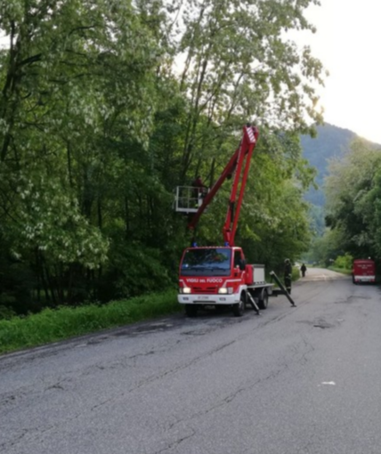 Strade malconce e alberi pericolanti in Valsessera