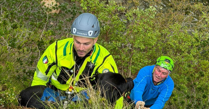 Scomparso da quasi una settimana in alta Valsesia, cane ritrovato vicino al fiume e tratto in salvo
