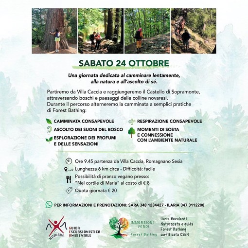 Romagnano Sesia, sabato una giornata tra cammino lento e Forest Bathing