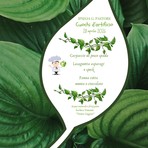 Gattinara, all’IPSEOA Pastore il “Martedì a colori” si veste di verde