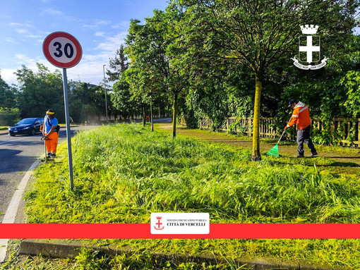 Vercelli, parte la lotta agli infestanti: 22 operatori al lavoro.